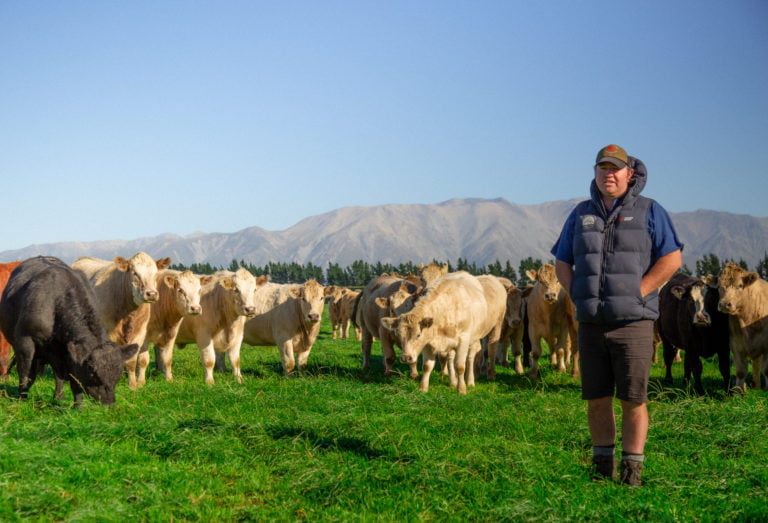 shearers quarters quartz hill station accommodation farm stay selwyn lake coleridge