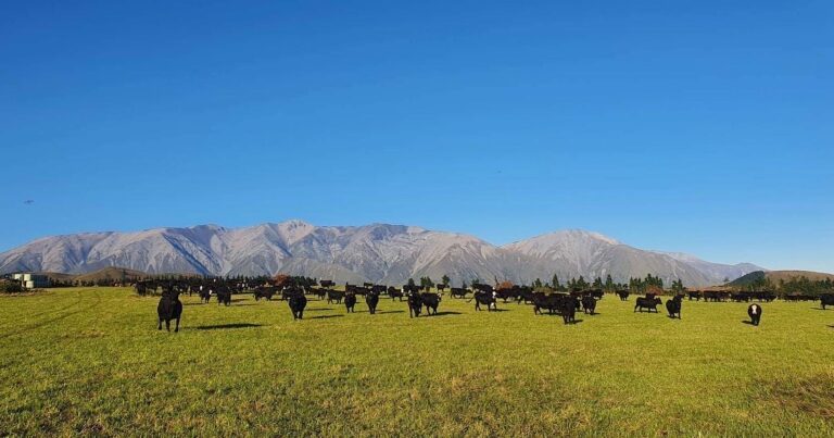 shearers quarters quartz hill station accommodation farm stay selwyn lake coleridge