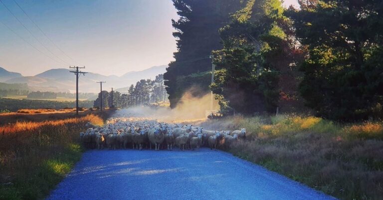 shearers quarters quartz hill station accommodation farm stay selwyn lake coleridge